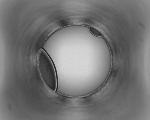 X0000113890897200910151332