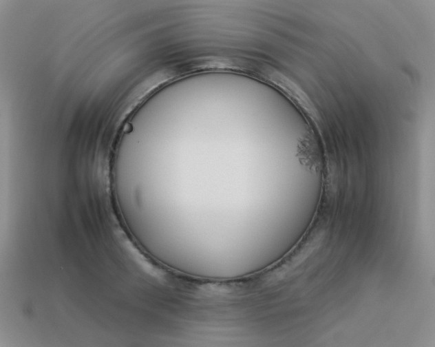 X0000113890898200910151332