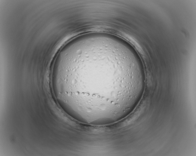 X0000113890899200910151332