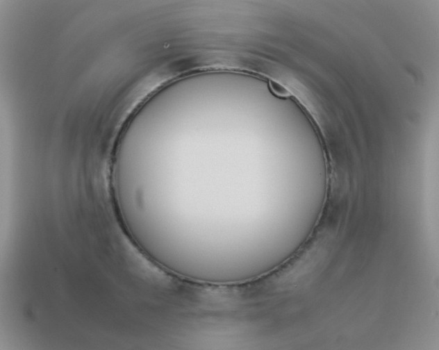 X0000113890901200910151332