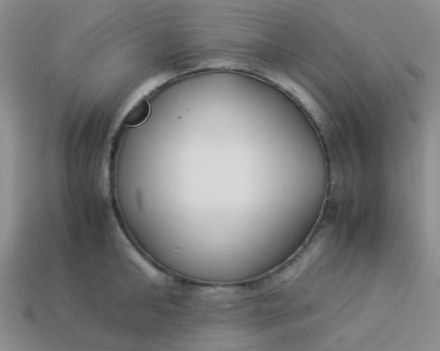 X0000113890902200910151332