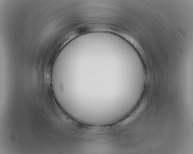 X0000113890905200910151332