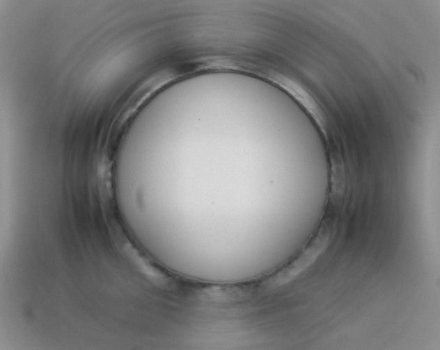 X0000113890906200910151332