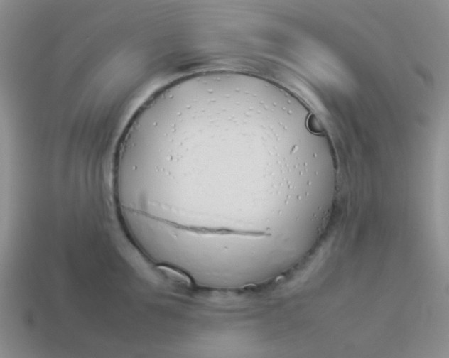 X0000113890907200910151332