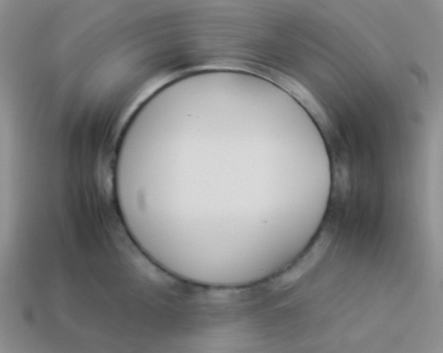 X0000113890908200910151332