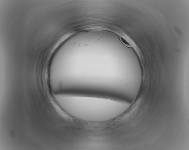 X0000113890909200910151332