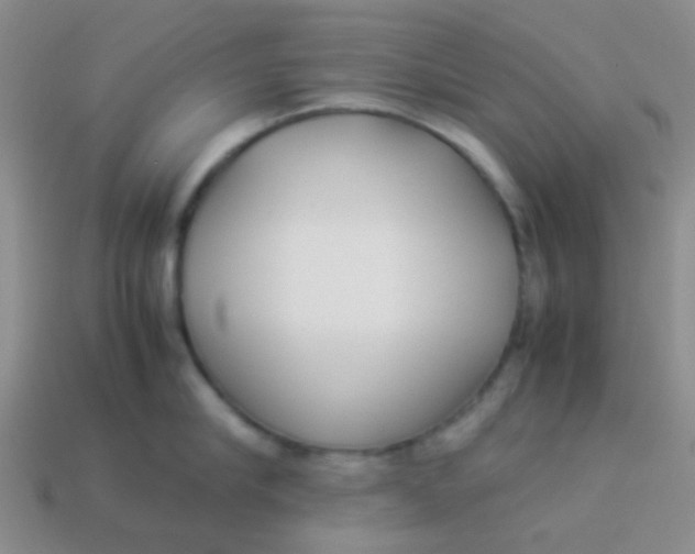 X0000113890910200910151332