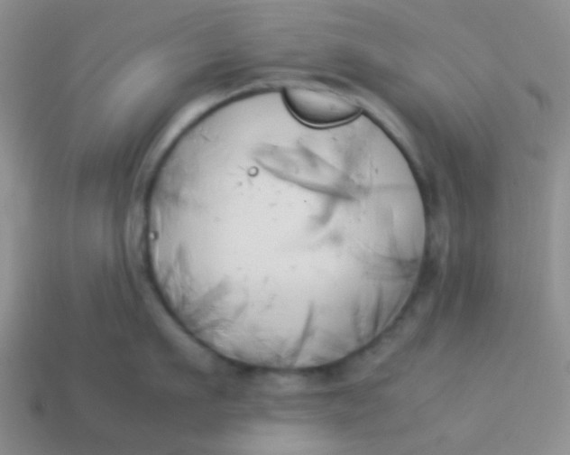 X0000113890911200910151332