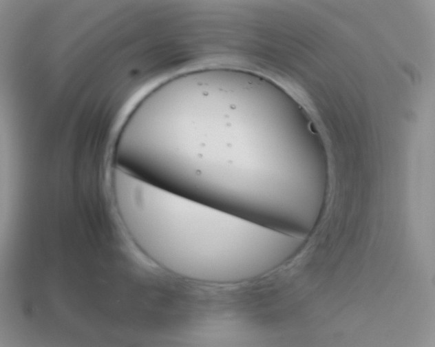 X0000113890912200910151332