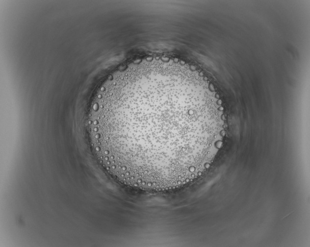 X0000113890913200910151331