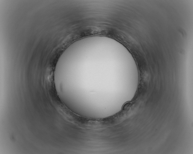 X0000113890914200910151331