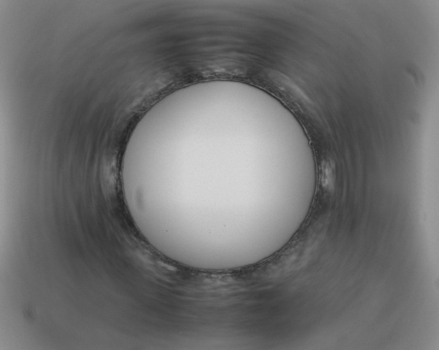 X0000113890915200910151331