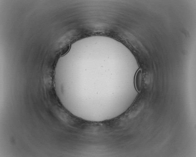 X0000113890916200910151331