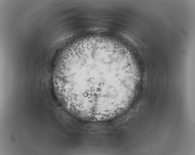 X0000113890917200910151331