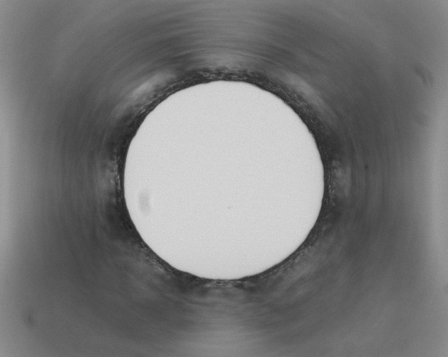 X0000113890918200910151331