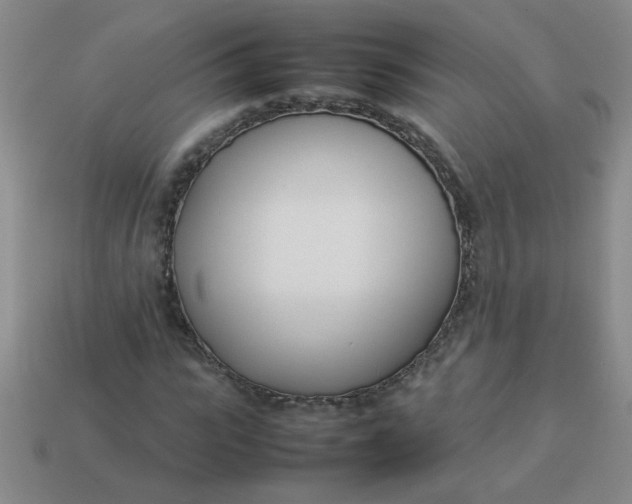 X0000113890919200910151331