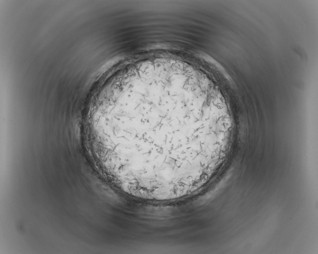 X0000113890921200910151331