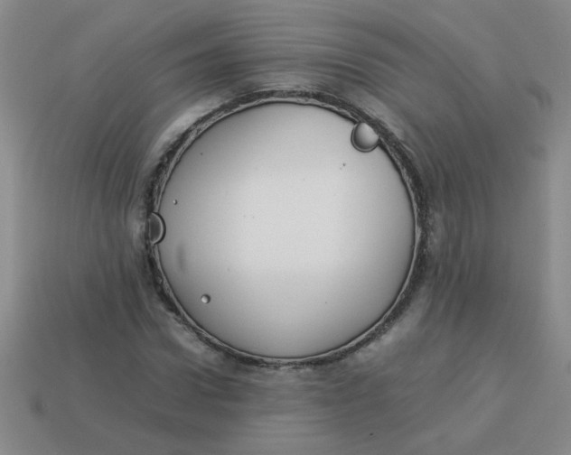 X0000113890922200910151331