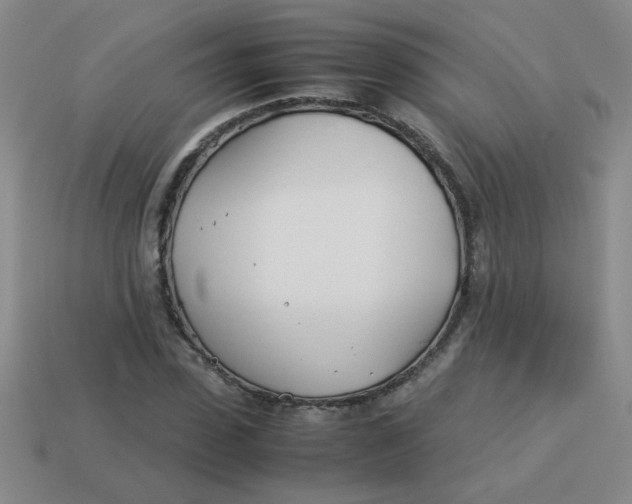 X0000113890923200910151331