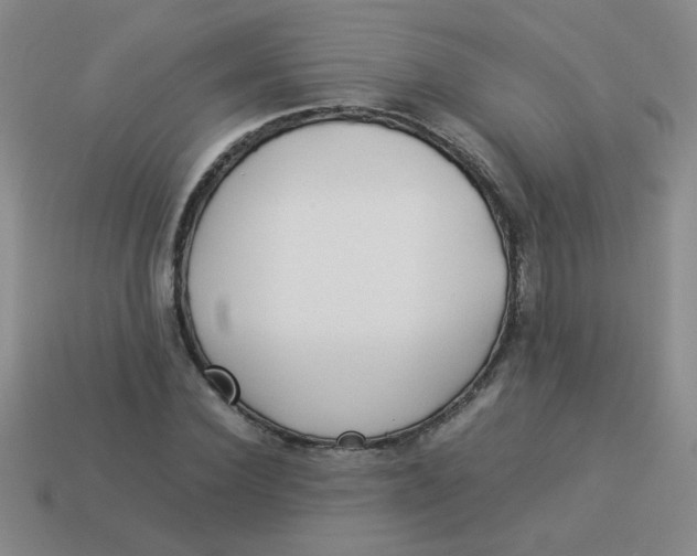 X0000113890924200910151331