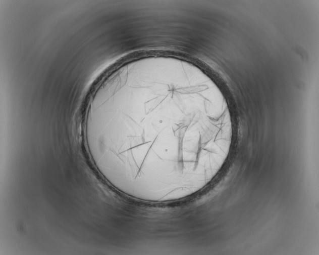 X0000113890925200910151331
