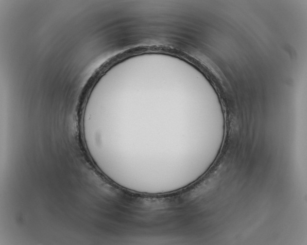 X0000113890927200910151331