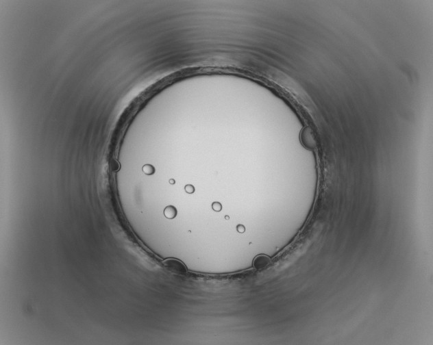 X0000113890928200910151331