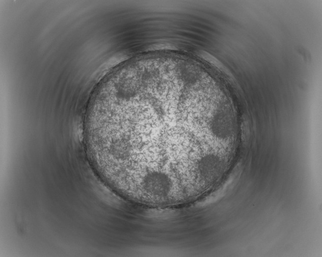 X0000113890929200910151331