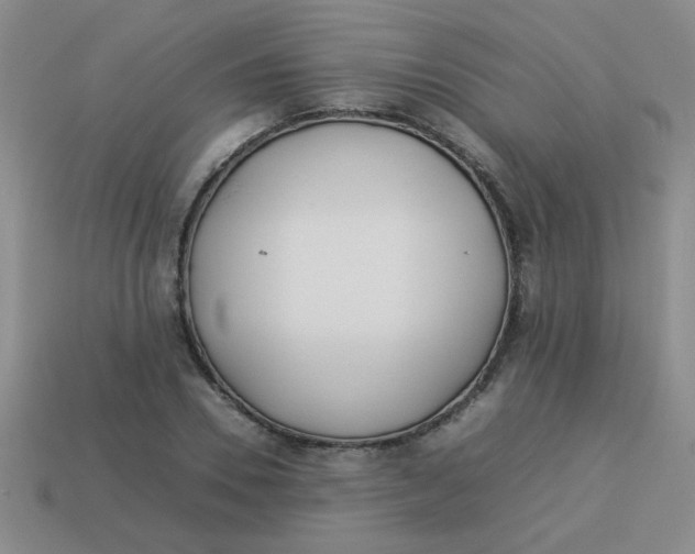 X0000113890930200910151331
