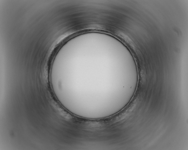 X0000113890931200910151331
