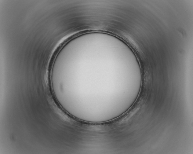X0000113890932200910151331