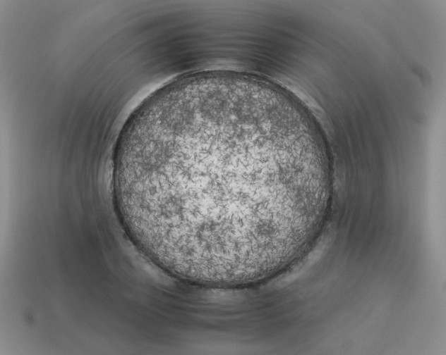 X0000113890933200910151331