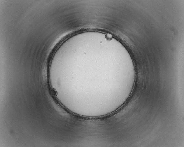 X0000113890934200910151331