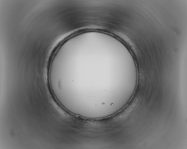 X0000113890935200910151331