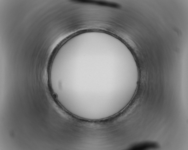 X0000113890936200910151331