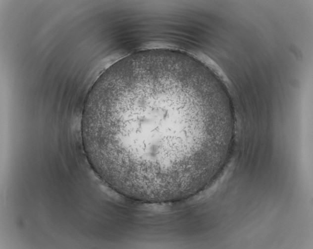 X0000113890937200910151331