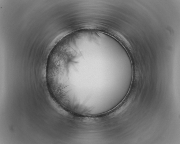 X0000113890938200910151331