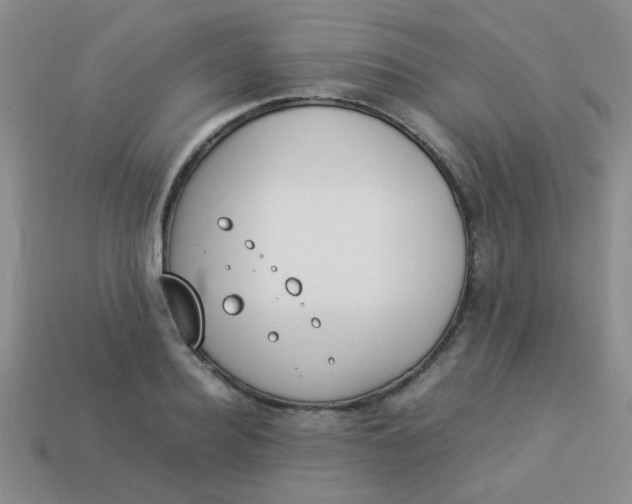 X0000113890940200910151331