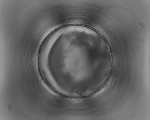 X0000113890941200910151331