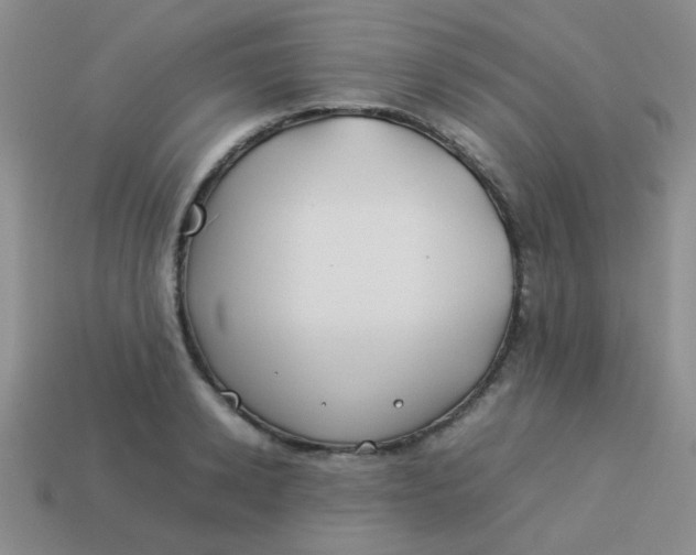 X0000113890942200910151331