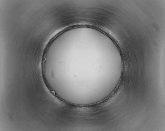 X0000113890943200910151331