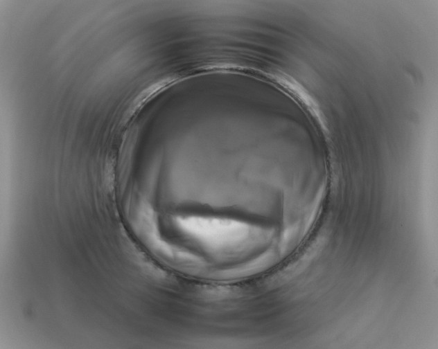 X0000113890945200910151332