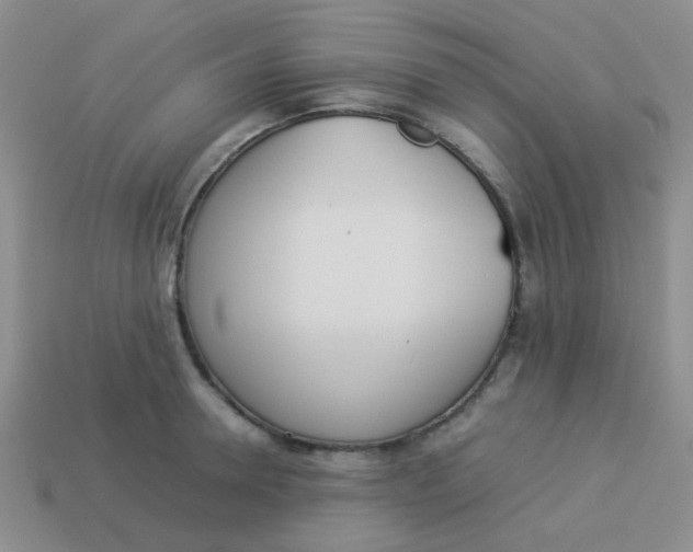 X0000113890946200910151332