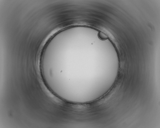 X0000113890947200910151332