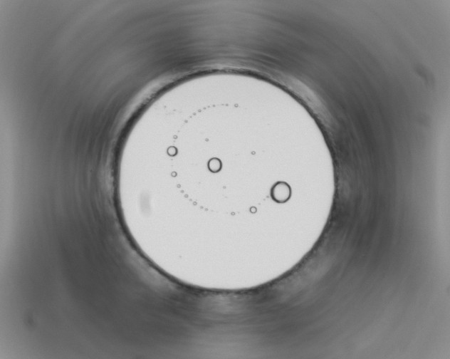 X0000113890950200910151332