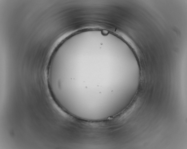 X0000113890951200910151332