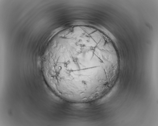 X0000113890953200910151332