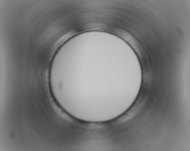 X0000113890954200910151332