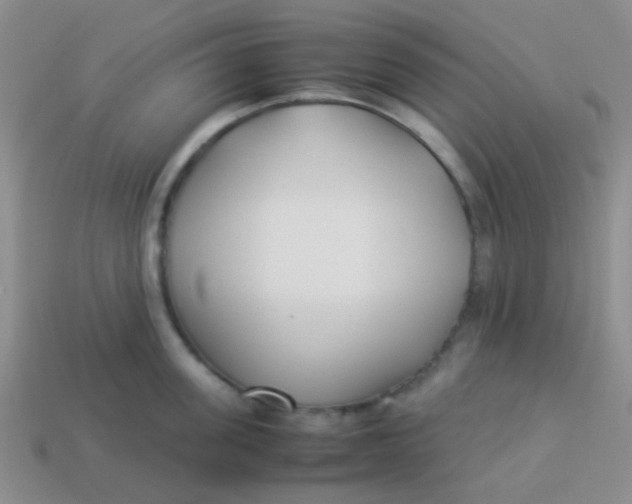 X0000113890955200910151332