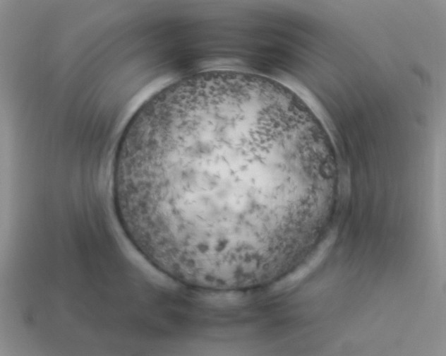 X0000113890957200910151332